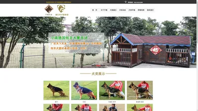 靖江市宁靖德国牧羊犬繁育场--靖江市犬业协会