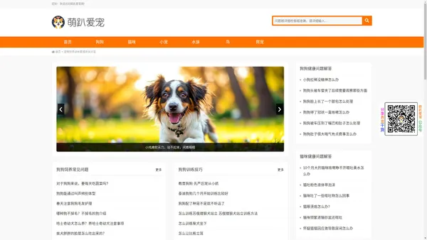 萌趴爱宠网 | 全面的狗猫宠物品种介绍、健康问答、饲养知识、训练技巧