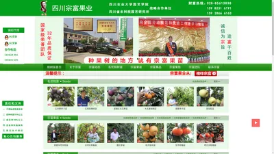 成都天府新区宗富水果种植专业合作社|桃树苗