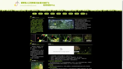 爱琴海萤火虫养殖基地(萤火虫放飞活动策划)研究培育中心Lovefirefly.com