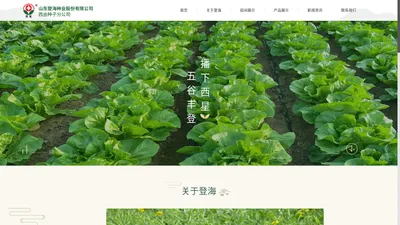 山东省大白菜工程技术研究中心_山东登海种业股份有限公司西由种子分公司官网