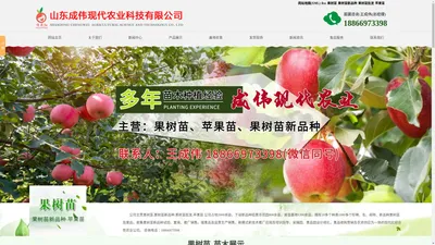 果树苗|苹果苗|果树苗新品种|果树苗批发-山东成伟现代农业科技有限公司