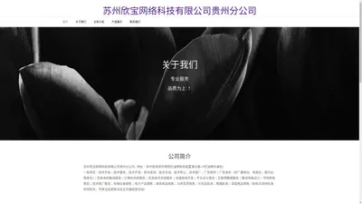 苏州欣宝网络科技有限公司贵阳分公司