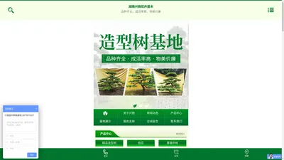 湖南兴驰花卉苗木农民专业合作社_苗木种植|长沙香樟供应|长沙苗木生产|水杉种植