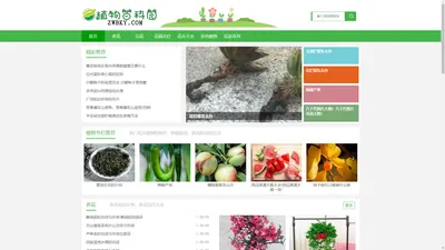 植物百科园 - 种花，养花知识汇聚于此