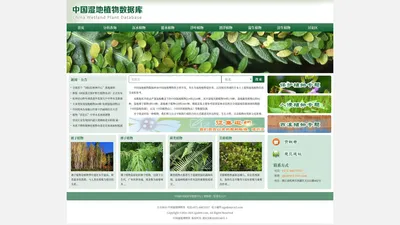 中国湿地植物数据库