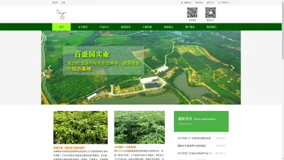 阳江市百盛园实业有限公司_金钗石斛_金钗石斛茶_铁皮石斛_铁皮石斛面膜_阳春砂仁_砂仁鸡_珍贵树