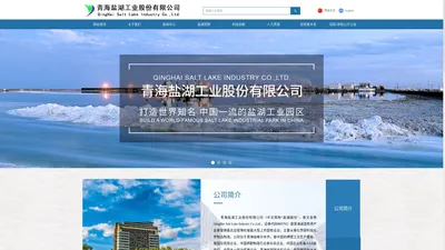 青海盐湖工业股份有限公司