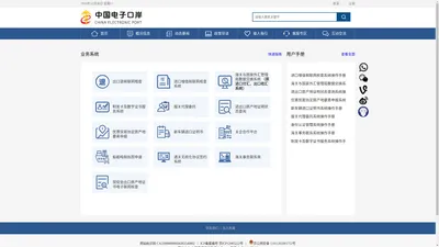 中国电子口岸