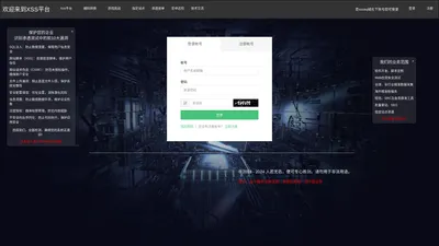 XSS平台-渗透-提权-远控-全球数据-仅用于xss安全测试专用-XSS Platform