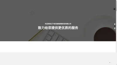 辽宁省百驰淘网络科技有限公司