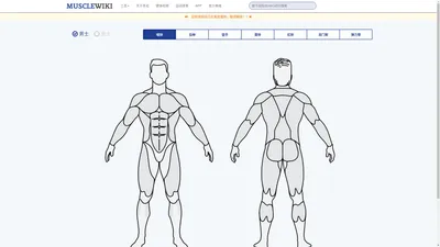 MuscleWiki 中文健身网