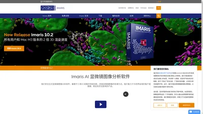 交互式显微图像可视化与分析软件 - 牛津仪器 - Imaris - 牛津仪器